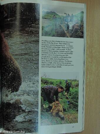 National Geographic 1993. (nem teljes évfolyam)