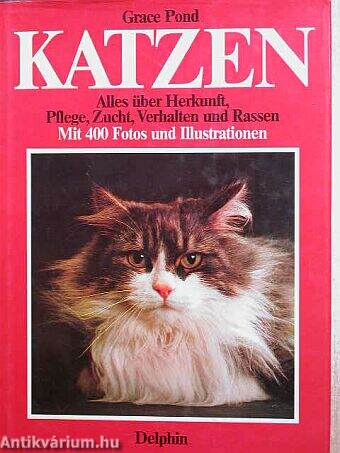 Katzen