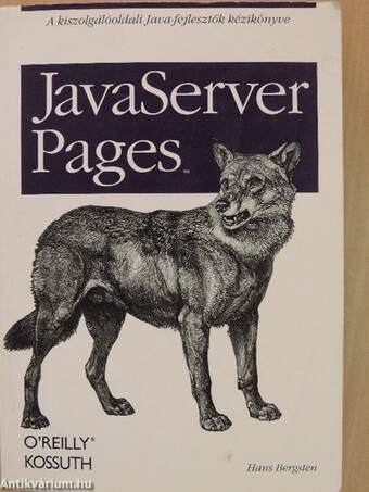 JavaServer Pages