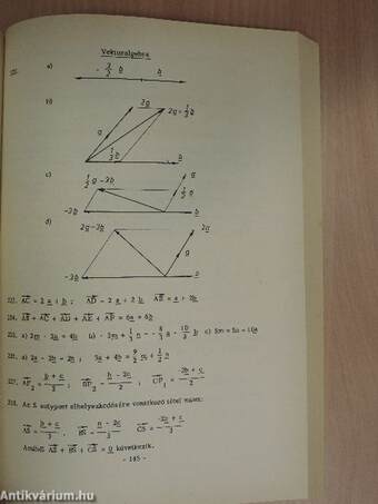 Matematikai példatár I.