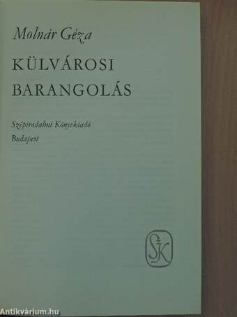 Külvárosi barangolás