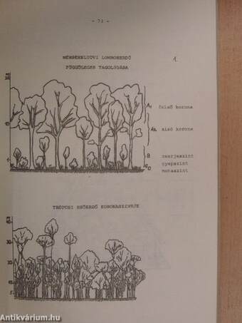 Az Eötvös Loránd Tudományegyetem Természettudományi Karának szakmódszertani közleményei XIII/2.