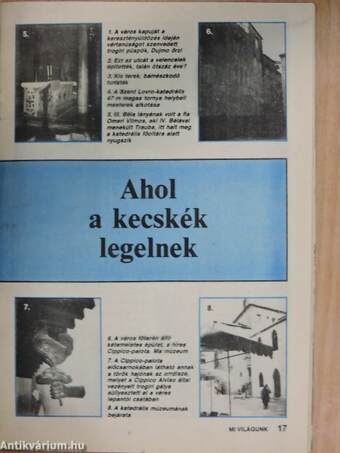 Új Mi Világunk 1988/5.