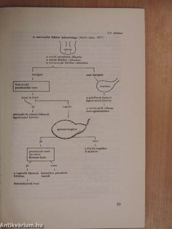 Az orvostudomány aktuális problémái 36.