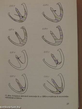 Electrocardiologia az orvosi gyakorlatban