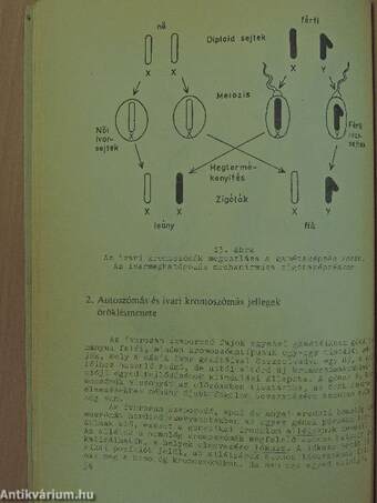 Az emberi viselkedés genetikai alapjai