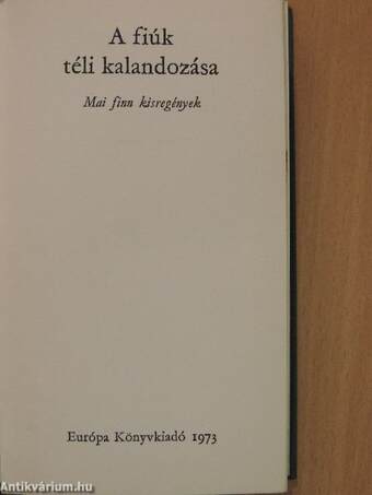 A fiúk téli kalandozása