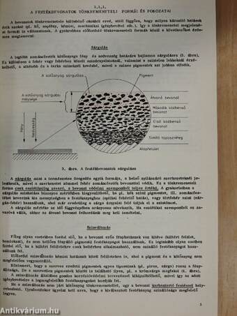 Szobafestő és mázoló (tapétázó) szakmai ismeret 2.