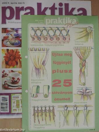 Praktika 2002. április