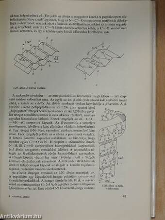 A biofizika alapjai