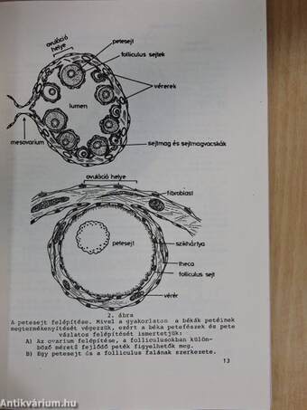 Embryologia