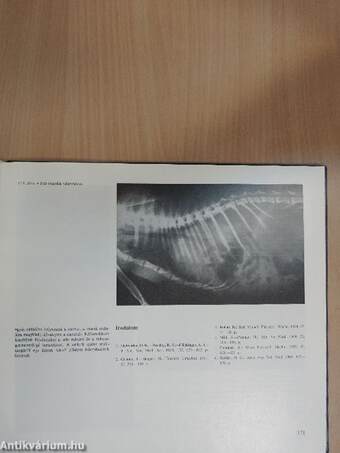 Állatorvosi röntgendiagnosztika