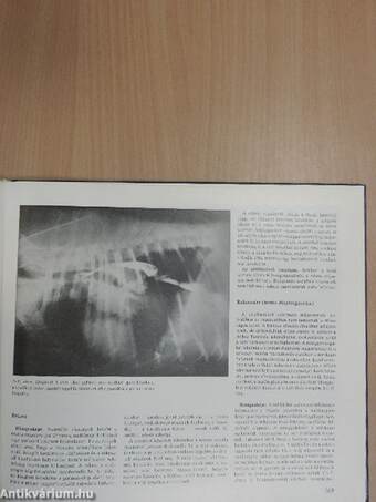 Állatorvosi röntgendiagnosztika