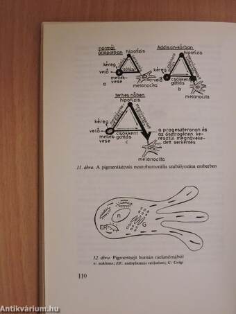 A biológia aktuális problémái 16.