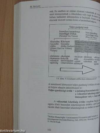 Környezetgazdaságtan és környezeti menedzsment