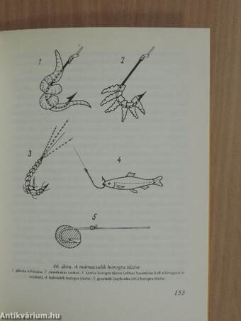 Különféle halaink és horgászatuk