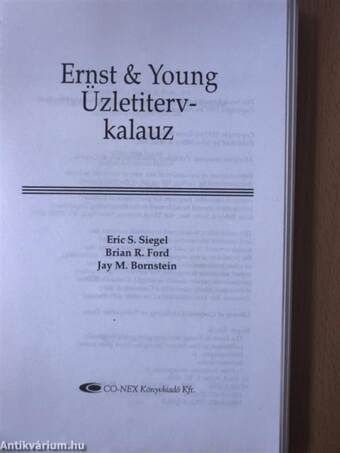 Ernst & Young Üzletitervkalauz