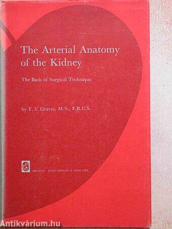 The Arterial Anatomy of the Kidney