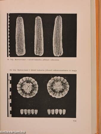 Nemesített növényfajtákkal végzett országos fajtakísérletek eredményei 1957