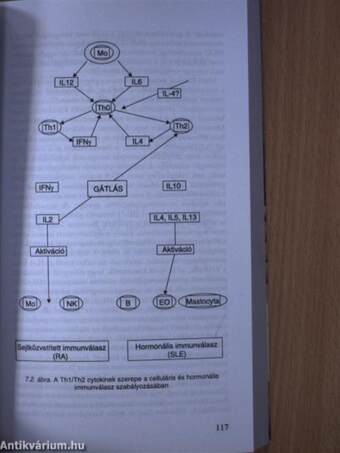 A menopausa időszerű kérdései