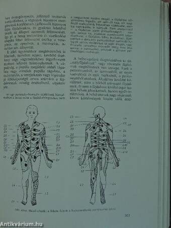 Belbetegségek elkülönítő diagnózisa I-II.