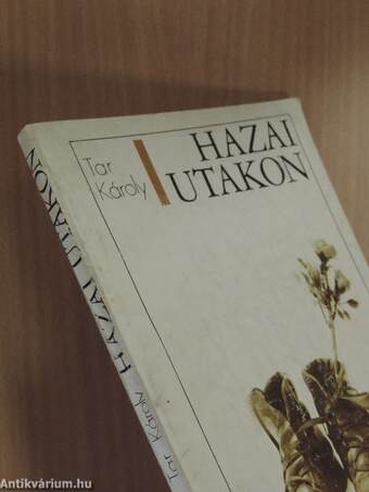 Hazai utakon