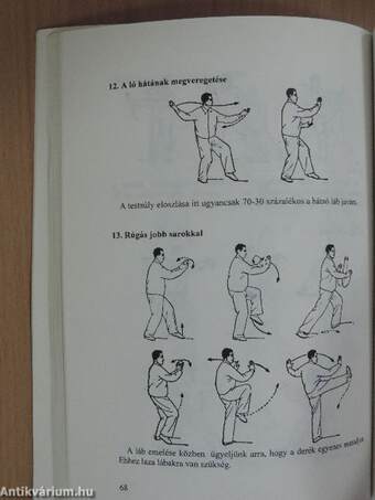 Gyakorlati Tai Chi Chuan és Chi Kung