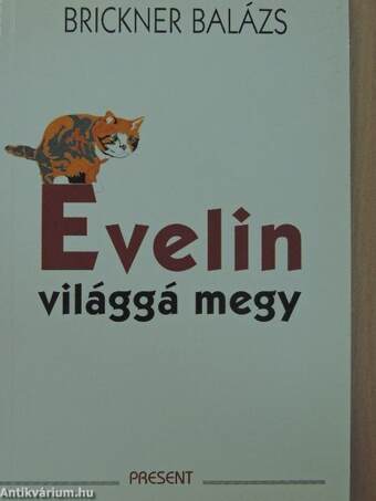 Evelin világgá megy