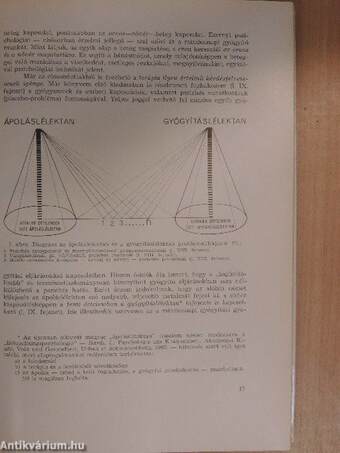 Pszichológia a betegágynál