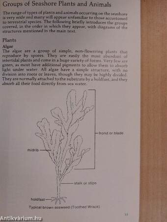 The Lomond Guide to Seashore Life of Britain and Europe