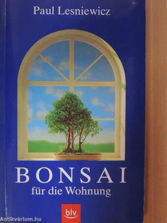 Bonsai für die Wohnung