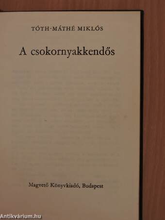 A csokornyakkendős