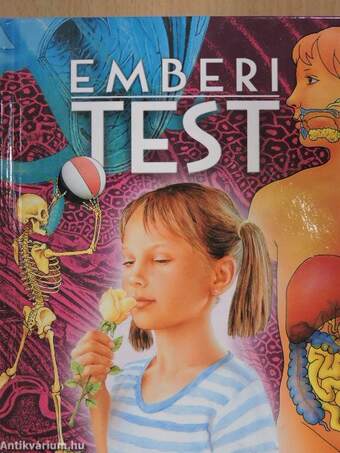 Emberi test