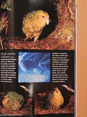 National Geographic October 2002