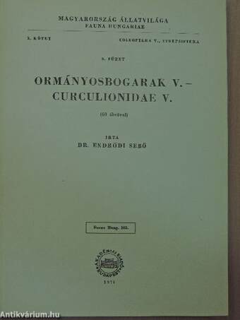 Ormányosbogarak V.