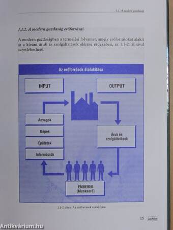 Vállalkozások gazdaságtana