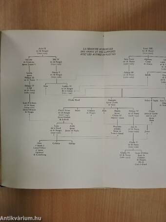 Les rapports dynastiques franco-hongrois au moyen-age