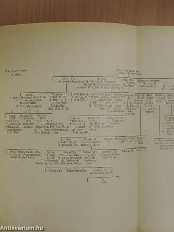 Magyar Családtörténeti Szemle 1941. január