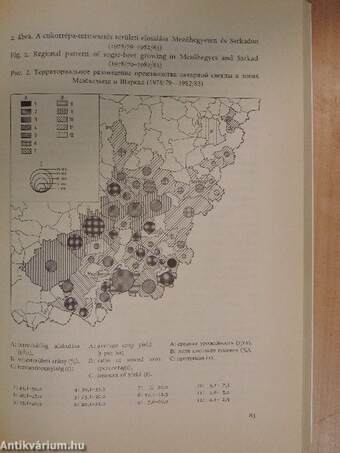 Alföldi tanulmányok 1985.