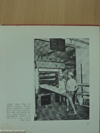 A szegedi szocialista sütőipar negyedszázada 1946-1971