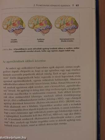 Bevezetés a neuropszichológiába