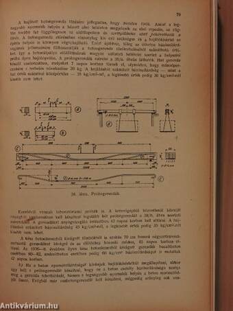 Vasbetonszerkezetek elmélete és számítása