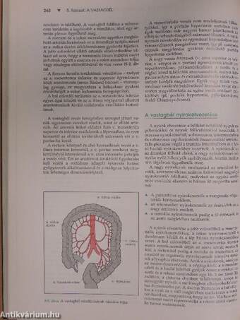 Gastroenterologia