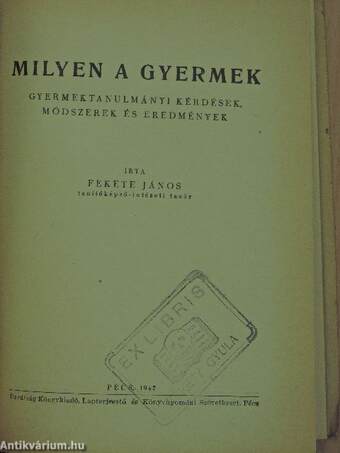 Milyen a gyermek II.