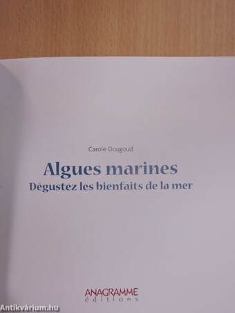 Algues marines