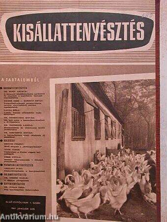 Kisállattenyésztés 1961. január-december