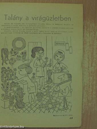 Füles 1965. február 28.