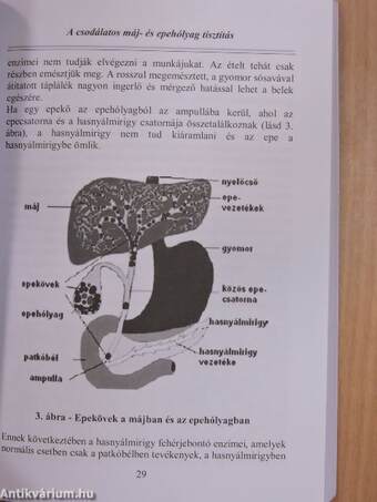 A csodálatos máj- és epehólyag tisztítás