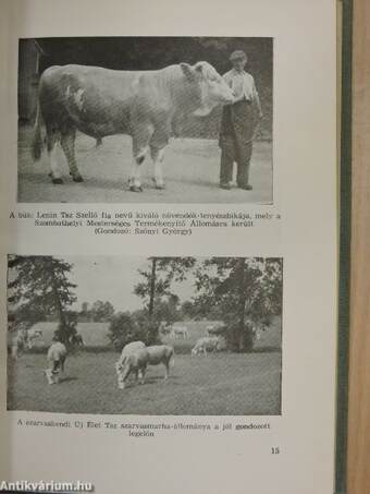 Vas Megyei Termelőszövetkezetek Évkönyve 1959.