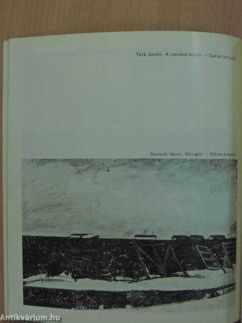 29. Vásárhelyi Őszi Tárlat - 1982. október 10-november 28.